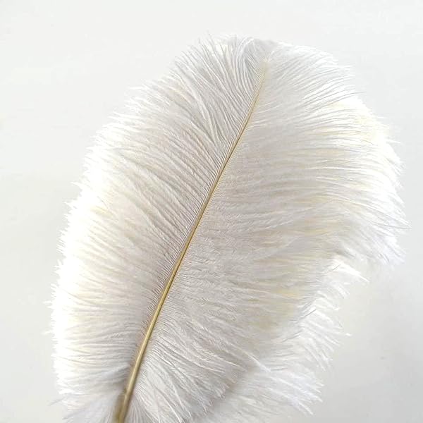 Piume Occhio Di Pavone Per Orecchini Piume Di Pavone Blu Naturali Per La Creazione Di Gioielli Artigianali 3-7 Cm Accessori Per Cuco Decorazioni Artificiali Decorazioni Per Piccole Penne Piume Per Decorazioni E - 10