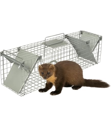 Cage Piège Vivant 100x29x31.5 Cm 3 Portes - Pour Fouine, Renard, Raton, Capture Humaine Sans Blessure