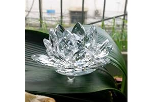 Besot Pietra Naturale di Loto di Vetro di Cristallo al Quarzo e Fiore di Cristallo Minerale fossile per i Mestieri di Cerimonia Nuziale della Famiglia (Bianco)