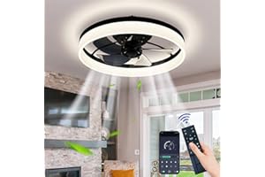 EIDISUNY Ventilateur de Plafond Moderne Avec Lumière 6 Vitesses de Vent Ventilateur de Plafond Plat 60W Avec Éclairage et Télécommande Dimmable pour Salon Chambre Salle à Manger Ventilateur Silencieux (Noir)