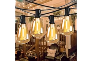 Svater Outdoor String Lights LED 96FT/30m, ST38 2x48FT Festoon Lights Mains Powered with 50+2 1W E12 Plastic Bulbs, Waterproof Connectable Garden String Lights for Patio Party Wedding Warm White