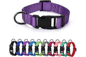 AUDWUD Dickes Nylonhalsband,klassisches verstellbares Hundehalsband in Mehreren Farben,geeignet für kleine,mittlere und große Hunde,4 Größen