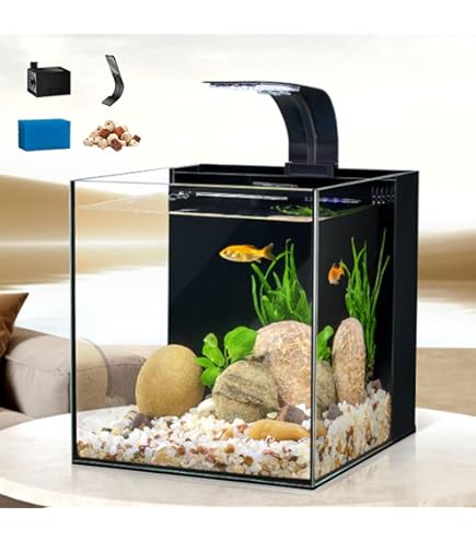 ADA CUBE GARDEN 30✖️30✖️30cm ADA Cube Garden 30C Rimless Aquarium (Ultra High Clarity Low