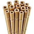 Blado Thick Bamboo Canes - Heavy Duty, Natural Garden Stakes, Strong Bamboo Sticks for Plant Support - Ideal for Gardens, Balconies, Patios, and Outdoor Spaces 2FT,3FT,4FT,5FT,6FT (50, 2ft, 6-8mm)