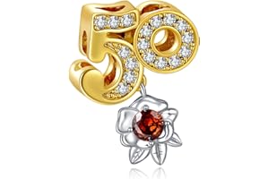 Rimgoris Breloque en argent 925 pour bracelet femme collier breloque numéro breloque pendante bracelet femme breloque