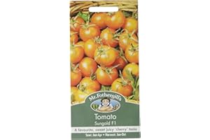 MR FOTHERGILLS Mr Fothergill's 14700 Vegetable Seeds, Tomato Sungold F1, Yellow