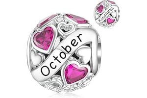 SEVENWELL Geburtsstein Charms for Pandora Charm 925 Sterling Silber Geburtstag Bead Charm