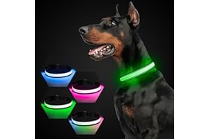 YFBRITE Collier pour chien lumineux, rechargeable par USB-C, réfléchissant, phosphorescent, avec 7 modes d'éclairage pour la sécurité de nuit, gris, taille S