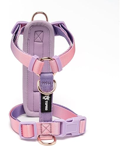 Pettorina Per Cani Con Diamanti E Guinzaglio - Design Fashion Per Cagnoline - Foto 5