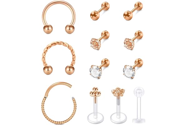 Rajnard Helix Piercing Tragus Cartilage en Acier Chirurgical Piercing d'oreille Cartilage 16G CZ Piercing Bijoux Femmes Hommes Argent