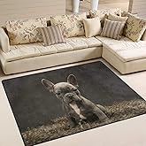 Use7 Teppich für Wohnzimmer, Schlafzimmer, 160 x 122 cm