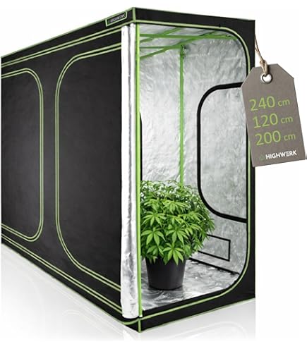 Zelsius Growzelt MyHomeGrow 2-in-1 Grow tent | Indoor Growroom | schwarz grün | Growroom Zelsius Growzelt MyHomeGrow 2-in-1 Grow tent | Indoor Growroom | schwarz grün | Growroom