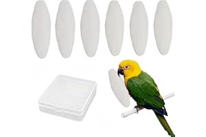 CUTIOLLY Miseczki sepia, 6 szt. miseczek sepia dla żółwi,zabawki do żucia, dla papug, kałamarnic, kości sepii, ptaków, 8-10 cm, z pudełkiem z tworzywa sztucznego