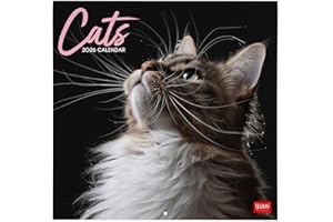 Legami - Calendario da Parete 2026, Cats, Calendario da Muro Grande, 12 Mesi e Planner Annuale, in 6 Lingue, Spazio per Note, Segni Zodiacali, Festività Internazionali, 30 x 29 cm