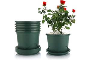 T4U 22CM Plastic Plant Pot with Saucer Set of 6, Root-Control Nursery Seedling Planter Decorative Garden Flower Pot Container Green for Indoor Outdoor Bonsai Plants, Aloe, Herb, Orchid and More