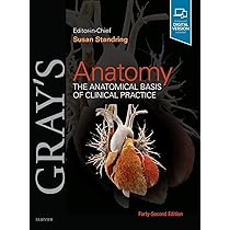 Gray's Anatomy: The Anatomical Basis of Clinical Practice
