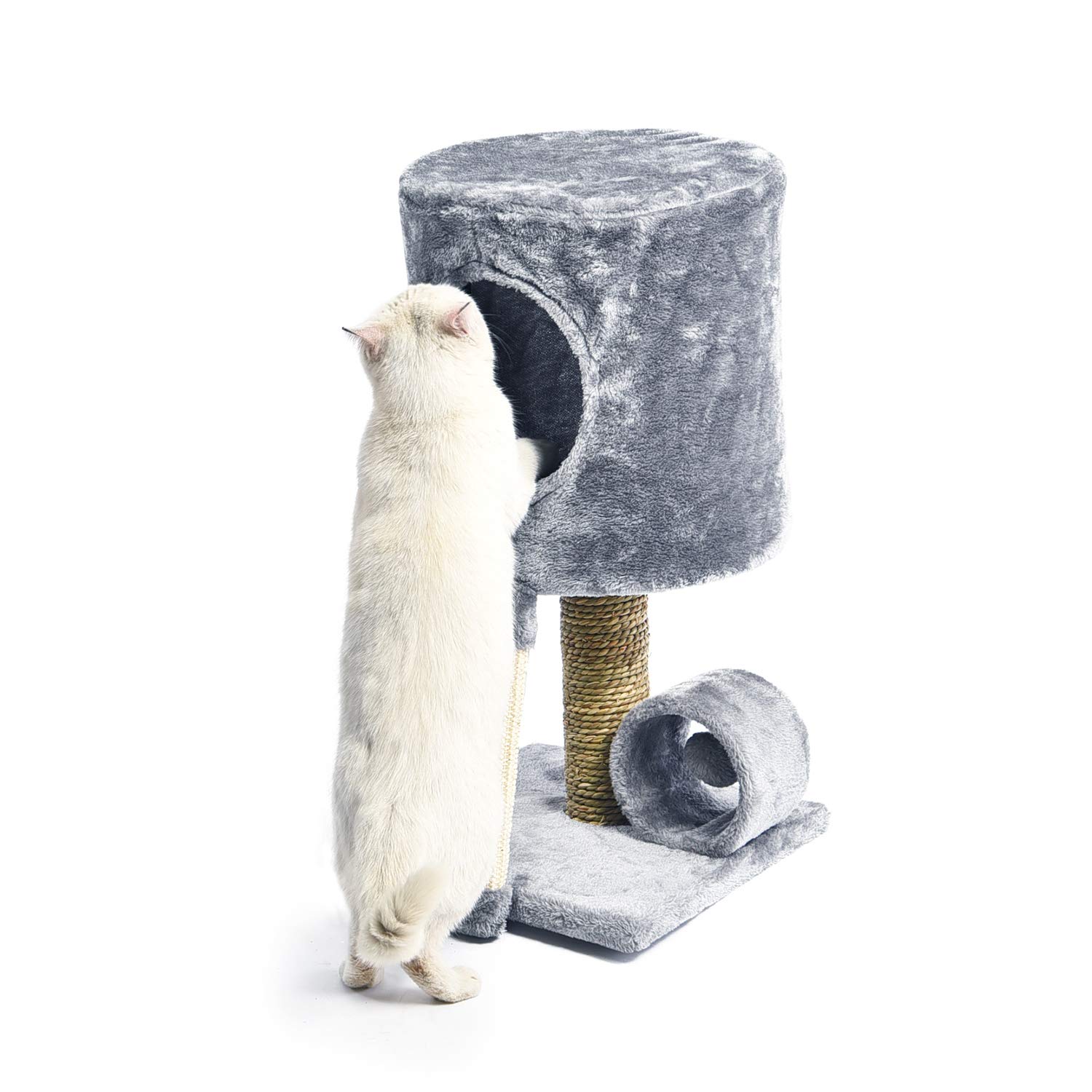 PAWZ-Road-Petit-Arbre--Chat-Chaton-avec-poteaux-et-griffoir-en-sisal-Centre-dActivit-pour-Chat-Gris-31-31-51cm