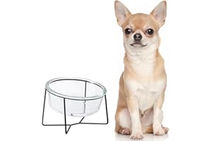 AHX Gamelle Surélevée pour Chats et Chiots - Petit Bol en Verre avec Support Métallique - Capacité de 400 ML - Transparent