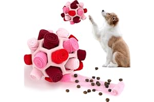 VidFair Snuffelboll för hundar, interaktiva födoseksaker, träning naturliga foderfärdigheter, hundmatningsträning, husdjurspu