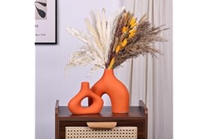 QIANLING Lot de 2 vases en céramique Orange - Décoration d'intérieur Moderne - Vases en Herbe de Pampa - Parfait pour Le Salon, Le Mariage, la Table à Manger, la fête, Le Bureau, la Chambre à Coucher