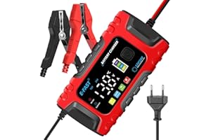 INTHOOR Caricabatterie da Auto Moto 10A 12V/5A 24V Carica Multifunzione Ricarica Automatica Display Digitale Intelligente Protezione di Carica Multipla con Display LCD Adatto per Auto e Moto