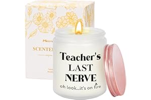 MESTECTPET Teacher Gifts Scent Candle, Teacher Appreciation Gifts for Women Men, Teacher Retirement Graduation Gifts, Funny Gift from Student in Teacher Day Thanksgiving Christmas Birthday