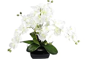‎FLAIR FLOWER Künstliche Orchidee 40x36x36cm mit Blätter und Luftwurzeln in Schale aus Keramik Künstliche Blume Kunstorchidee Phalaenopsis mit Übertopf Kunstpflanze Hochzeit Deko Seidenblume Real Touch Blüte weiß