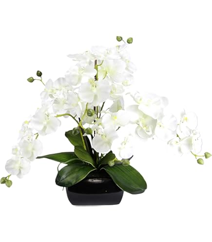 Kunstorchidee in schaal, 27 cm, kunstbloem, kunstorchidee, phalaenopsis met pot, kunstplant, bruiloft, decoratie, vlinder, phalaenopsis, decoratieve bloem, zijden bloemen, bloemstukken, wit