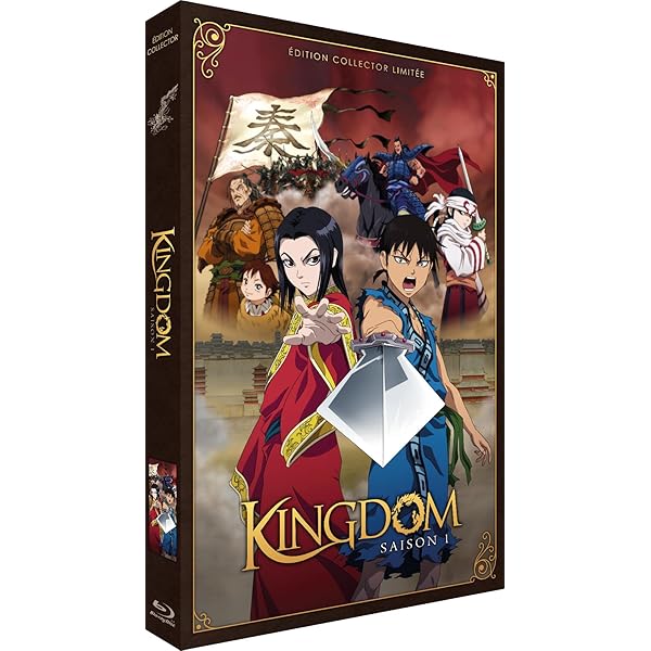 Kingdom-Saison 1-Edition Collector (7 DVD): Amazon.de: Yasuhisa