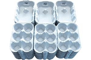 HOMECENTRE Home Centre Egg Boxes Trays 40 Pieces Box Holds 6 Eggs Recyclable Biodegradable Cardboard Plain Front Opening
