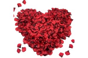 QIMMU 1000pcs Petale de Rose, Petales de Roses Rouge, Pétales de Rouges Artificiels, Petale de Rose Mariage, pour Fleurs de Mariage, Confettis, Table Scatter Rouge