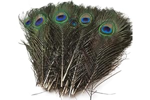 LZKHEH 20x Natürliche Pfauenfedern, 25-30CM, deko federn, pfauenfeder, für DIY Craft & Kopfdekorationen, ideal für Hüte & Pfau-Deko.Pfauenfedern lang.