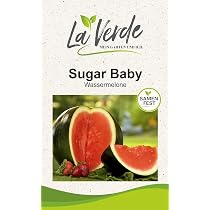 Sugar Baby Melon Seeds : Amazon.com.be: Garden