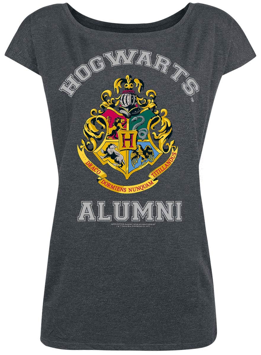 HARRY-POTTER-Alumni-T-Shirt-dunkelgrau-meliert-L