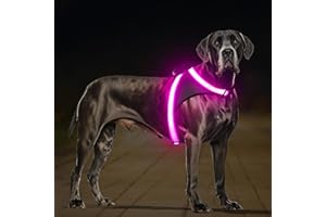 ChalkLit LED Leuchtendes Hundegeschirr USB Wiederaufladbares Vollständig Beleuchtetes Hundegeschirr Leuchtet Im Dunkeln für Nachtspaziergänge Sicherheitsweste, mittelgroße große Hunde (Rosa, L)