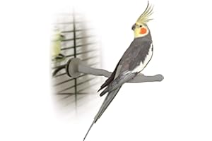 K&H Pet Products Thermo-Perch Heated Bird Perch Gray Small 1 X 10.5 Inches