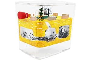 ANTHILLSHOP Hormiguero Educativo - con Hormigas Incluidas.