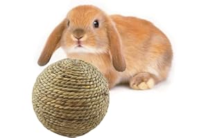 MEYANG Jouet Lapin, Jouet A Macher pour Animaux Domestiques Boule d' Naturelle, Jouet A Macher pour Animaux Domestiques Boule, pour Lapin Nain Jouet Lapin À Ronger
