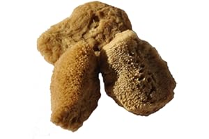 MADACHA Eponge de mer naturelle "Silk" - 2" / 5 cm - Lot de 3