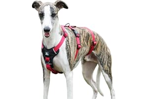 Paworld Pettorina Antifuga Cane, Pettorina Anti Tiro per Cani, Imbracatura Cane Taglia Piccola, Regolabile, Traspirante, Senza Soffocamenti, Allenamento alla Camminata (Rosa Rossa,S)