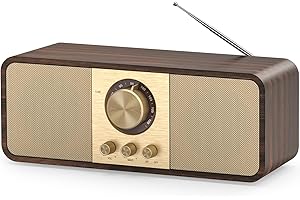 Nostalgie Radio, Retro Radios mit Bluetooth und TF Karte, 3000mAH Batteriebetrieben, mit 2 x 8 Watt Subwoofer, Retro Radios mit AUX/USB, Radio für Küchen/Schlafzimmer/Büro