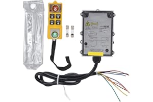 ZWINNER Télécommande Industrielle de Grue de Levage sans Fil, Télécommande Radio sans Fil Industrielle à 6 Boutons avec émetteur, Interrupteur Radio de Levage électrique pour Pont de Tour(AC 220V)