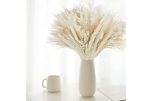 Shakeel White Dried Pampas Grass Bouquet (UK Company), 80PCS Boho Home Decoration Fluffy Pampas Grass Bouquet, White Artificial Pampas Grass Bunny Tails Dried Flowers for Wedding Floral Arrangements