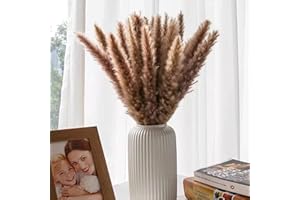 SONGJUM 30 Piezas Pampas Secas Decoracion,Decoración de Hierba de Pampas Seca Natural,Hierba de Pampa Seca Flores Secas Utilizado en Sala de Estar Comedor Boda Fiesta Decoración(Color Natural)