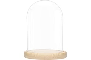 ‎BELLE VOUS BELLE VOUS Glasglocke mit Holzboden - 20cm hohe Glaskuppel mit Holzboden - Glasglocke Groß Deko - transparente Glas Glocke - Glaskuppel Deko - dekorative Glashaube