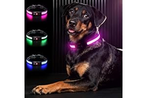 Bamda Light Up Dog Collar, Long-Lasting Power & LED Dog Collar Rechargeable, Waterproof & Safety Flashing Dog Collars for Dark, Adjustable Led Collars for Medium Dogs [Pink-M]