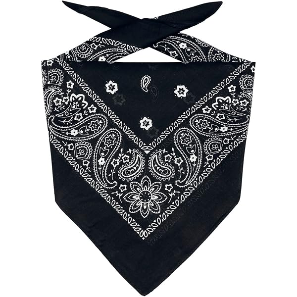CHPN - Bandana - Boerenzakdoek - Shawltje - Paisleyprint - 54/54CM - Roze - Zakdoek - Carnaval - Accessoire