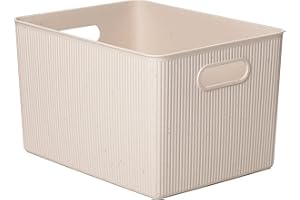 Tatay Cesta Almacenaje Plastico 22 L Baobab | Caja Organizadora | Asas Integradas | Diseño Compacto y Versátil | Plástico 100% Reciclado Libre de BPA | 29,4x38,5x23 cm, Ecohome