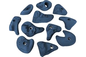 ALPIDEX 11 Prises d'escalade | Taille L | Anse | Différentes Formes, Couleurs | Pierres Poignées Escalade