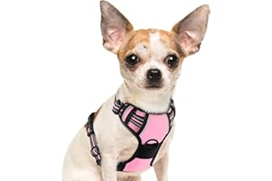 Eagloo Pettorina Cane Taglia Piccola, Pettorina ad h, Pettorina Antifuga Cane, Pettorina Anti Tiro per Cani con Doppio Gancio, Imbracatura Robusto e Regolabile per Addestramento Passeggiate, S, Rosa